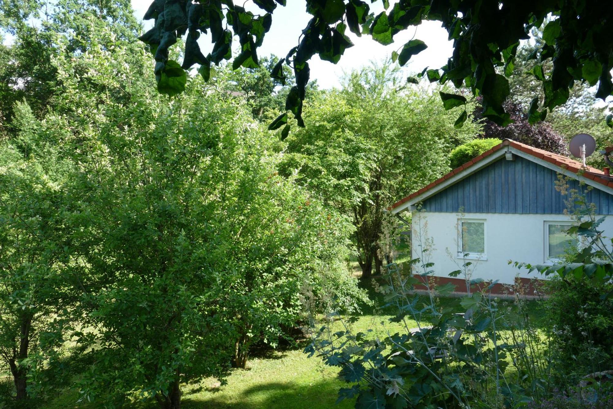 Landleben - Ferienhaus 2 Fritzlar Ngoại thất bức ảnh